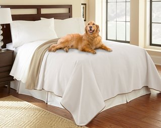 Mambe Waterproof Dog Furniture Cover, Waterproof Pet Cover For Queen Bed