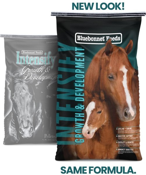 Bluebonnet Feeds Intensify Growth & Development Low Sugar, Low Starch Horse Feed, 50-lb bag slide 1 of 6