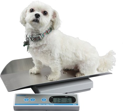 Brecknell MS20S Digital Pet Scale, slide 1 of 1
