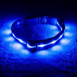 Blazin' Safety LED USB Rechargeable Nylon Dog Collar, Blue, X-Small: 8.1 to 10.75-in neck, 5/8-in wide