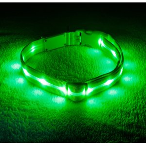 Blazin' Safety LED USB Rechargeable Nylon Dog Collar, Green, Medium: 13.8 to 19.7-in neck, 1-in wide