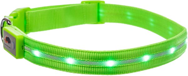 Blazin Safety LED Dog Collar USB Rechargeable with Water Resistant Flashing Light