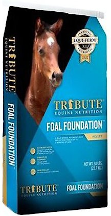 Tribute Equine Nutrition Foal Foundation Milk-Based Horse Feed, 50-lb bag slide 1 of 3