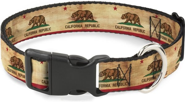 Buckle-Down State Plastic Clip Polyester Dog Collar, Small: 9 to 15-in neck, 1-in wide slide 1 of 7
