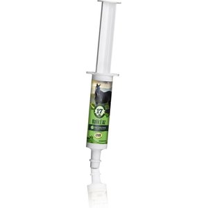 Silver Lining Herbs Kolik Eaz Colic Relief Paste Horse Supplement, 80-cc syringe