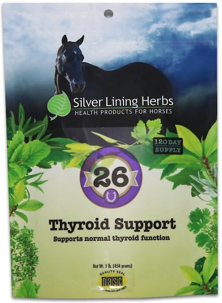 Silver Lining Herbs Thyroid Support Powder Horse Supplement, 1-lb bag slide 1 of 2