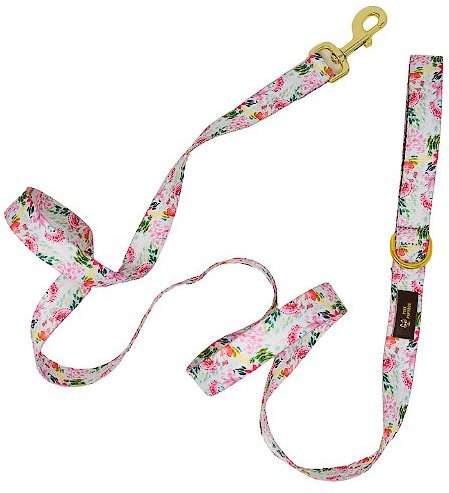 Pink Papyrus Isabella Polyester Dog Leash, 4-ft long, 1-in wide slide 1 of 4