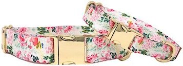 Pink Papyrus Isabella Polyester Dog Collar, X-Small: 8 to 12-in neck, 5/8-in wide slide 1 of 4