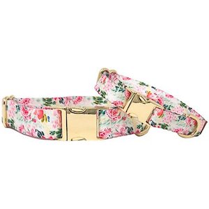 Pink Papyrus Isabella Polyester Dog Collar, X-Small: 8 to 12-in neck, 5/8-in wide