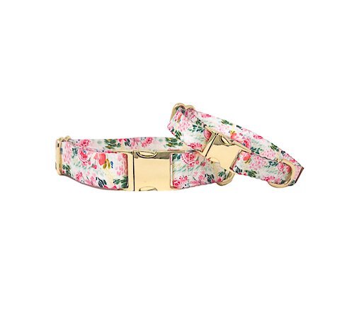 PINK PAPYRUS Isabella Polyester Dog Collar, X-Small: 8 to 12-in neck, 5 ...