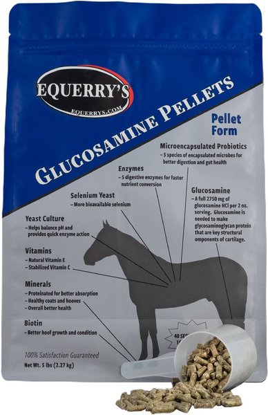 Equerry's Glucosamine Pellets Joint Support Horse Supplement, 5-lb bag slide 1 of 1
