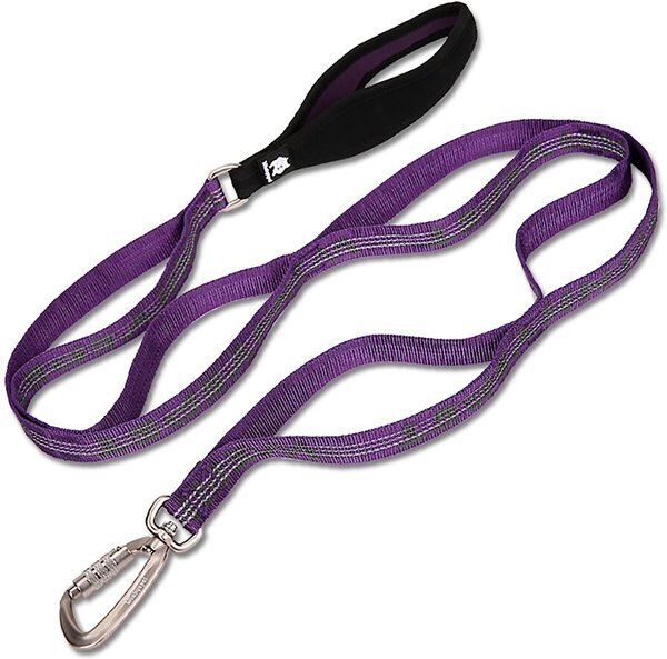 Chai's Choice Premium Trail Runner Multi Handle Heavy Duty Training Polyester Reflective Dog Leash, Purple, Large: 4.5-ft long, 1-in wide slide 1 of 6