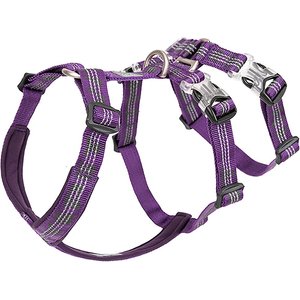 Chai's Choice Double H Trail Runner Polyester Reflective No Pull Dog Harness, Purple, Small: 16 to 20-in chest