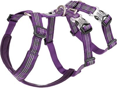 Chai's Choice Double H Trail Runner Polyester Reflective No Pull Dog Harness, slide 1 of 1