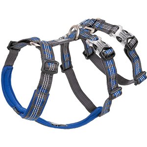 Chai's Choice Double H Trail Runner Polyester Reflective No Pull Dog Harness, Royal Blue, Medium: 20 to 24-in chest