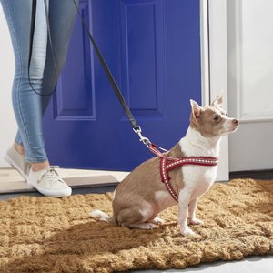 Blueberry Pet 3M Jacquard Neoprene Reflective Back Clip Dog Harness