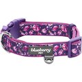 Blueberry Pet Soft & Comfy Padded Polyester Dog Collar, Plum Purple, Medium: 14.5 to 20-in neck, 3/4-in wide
