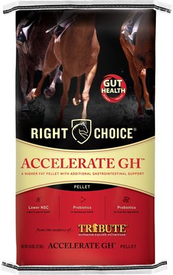 Right Choice Accelerate GH Gut Health Horse Feed, slide 1 of 1