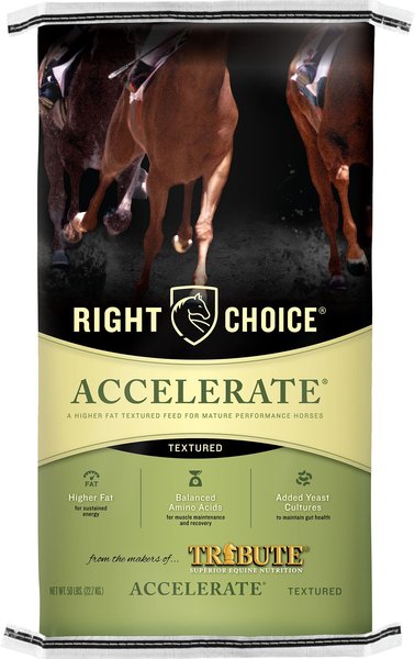 Right Choice Accelerate Horse Feed, 50-lb bag slide 1 of 3