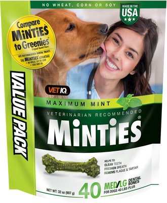 VetIQ Minties Medium/Large Dental Bone Dog Treats, slide 1 of 1
