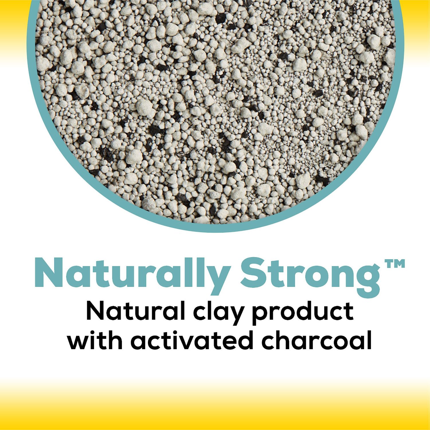 Tidy Cats Naturally Strong Unscented Clumping Clay Cat Litter, 12lb