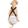Paw Inspired Dog Diaper Suspenders, Small/Medium