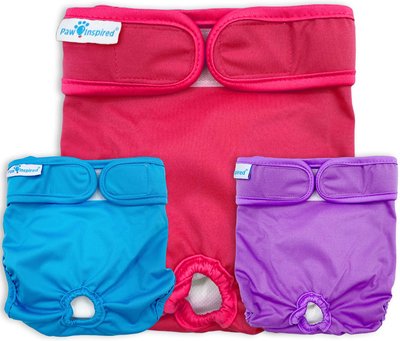 Paw Inspired Washable Female Dog Diapers, 3 count, slide 1 of 1