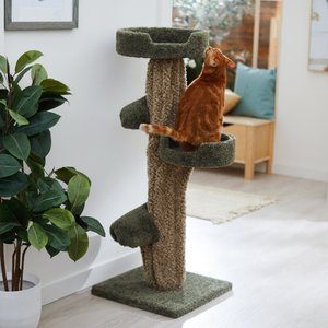 Frisco 49-in Tree-Shaped Real Carpet Wooden Cat Tree, Green