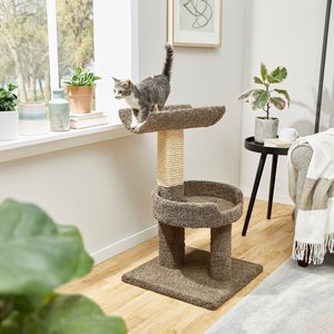 Frisco 30-in Real Carpet Wooden Cat Tree, Gray