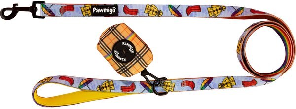 Pawmigo April Showers Polyester Dog Leash, 5-ft long, 3/4-in wide slide 1 of 1