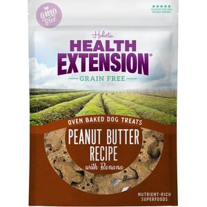 Health Extension Grain-Free Oven Baked Peanut Butter Recipe with Banana Dog Treats, 2.25-lb bag