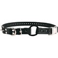 Educator By E-Collar Technologies Educator Quick Snap Bungee Dog Collar, Black, 3/4-in
