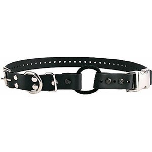 Educator By E-Collar Technologies Educator Quick Snap Bungee Dog Collar, Black, 1-in