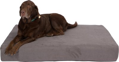 Pet Support Systems Lucky Dog Orthopedic Pillow Dog Bed, slide 1 of 1