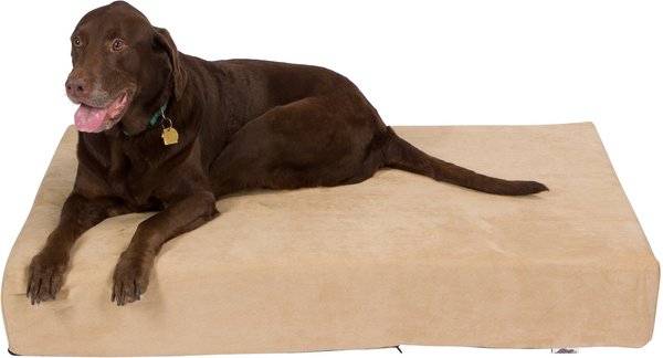 Pet Support Systems Lucky Dog Orthopedic Pillow Dog Bed, Khaki/Tan, Large slide 1 of 6