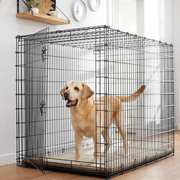Frisco XX-Large Heavy Duty Single Door Wire Dog Crate, 54 inch slide 1 of 8