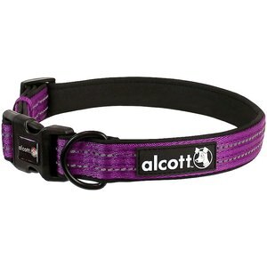 Alcott Adventure Polyester Reflective Dog Collar, Purple, Large: 18 to 26-in neck
