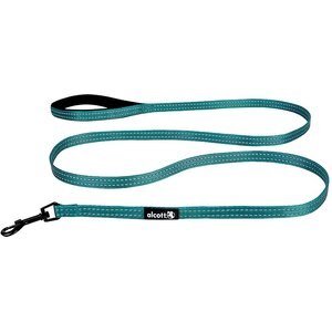 Alcott Adventure Polyester Reflective Dog Leash, Blue, Small: 6-ft long, 5/8-in wide