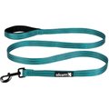 Alcott Adventure Polyester Reflective Dog Leash, Blue, Large: 6-ft long, 1-in wide