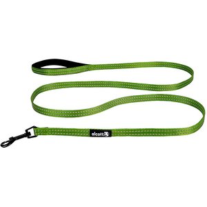 Alcott Adventure Polyester Reflective Dog Leash, Green, Small: 6-ft long, 5/8-in wide