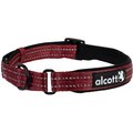 Alcott Polyester Reflective Martingale Dog Collar, Red, Large: 18 to 26-in neck