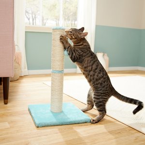 Frisco 21-in Sisal Cat Scratching Post with Toy, Aqua