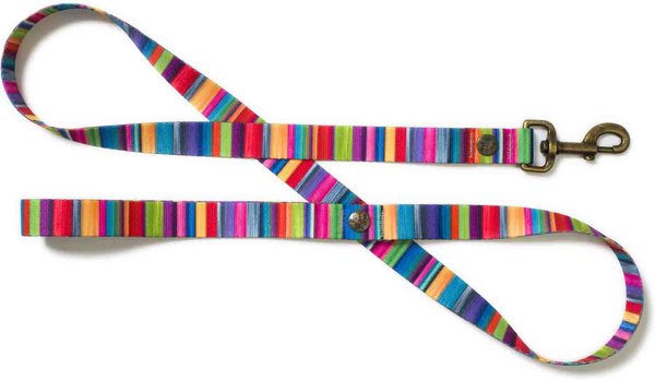 Merry Jane & Thor Kaleidoscope Polyester Dog Leash, Rainbow, Large: 5-ft long, 1-in wide slide 1 of 6