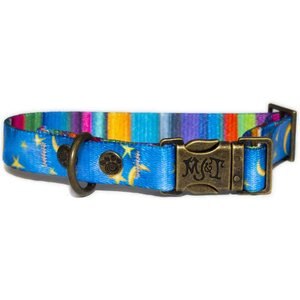 Merry Jane & Thor Starry Night Polyester Dog Collar, Blue & Yellow, X-Small: 8.5 to 12-in neck, 5/8-in wide