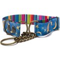 Merry Jane & Thor Starry Night Polyester Martingale Dog Collar, Blue & Yellow, Medium: 13 to 20-in neck, 1.25-in wide