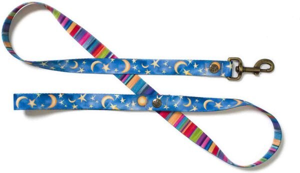 Merry Jane & Thor Starry Night Polyester Dog Leash, Blue & Yellow, Small: 5-ft long, 5/8-in wide slide 1 of 4