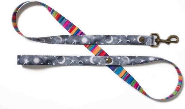 Merry Jane & Thor Starry Night Polyester Dog Leash, Silver & White, Small: 5-ft long, 5/8-in wide slide 1 of 5