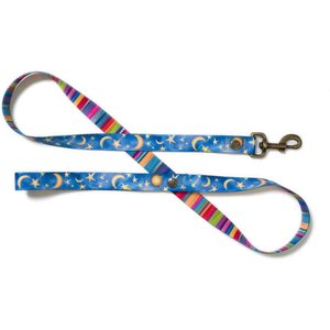 Merry Jane & Thor Starry Night Polyester Dog Leash, Blue & Yellow, Large: 5-ft long, 1-in wide