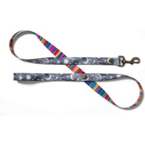 Merry Jane & Thor Starry Night Polyester Dog Leash, Silver & White, Large: 5-ft long, 1-in wide