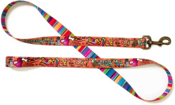Merry Jane & Thor GangstaMutt Dogs Rule Polyester Dog Leash, Small: 5-ft long, 5/8-in wide slide 1 of 5